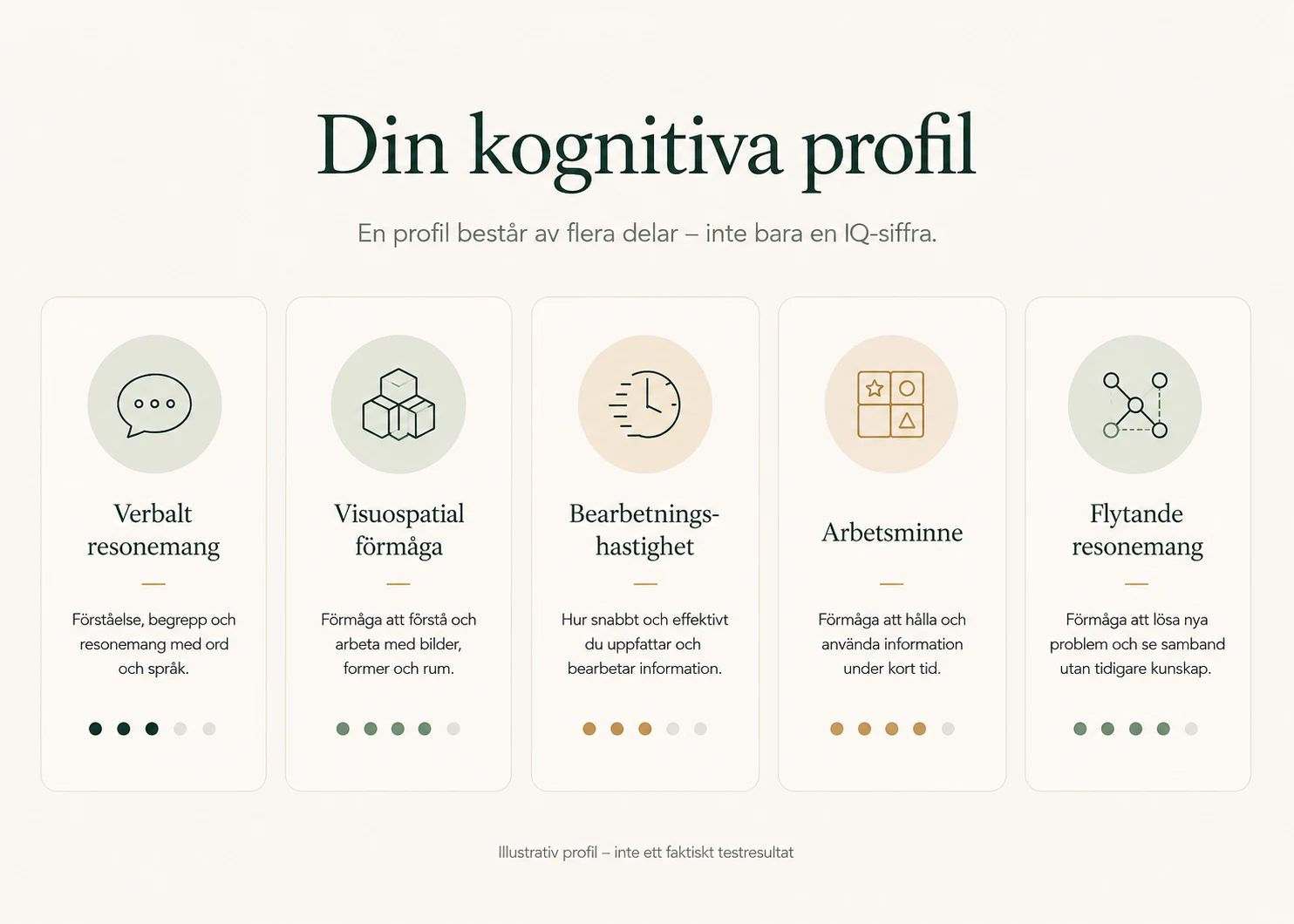 Din kognitiva profil – illustrativ grafik med fem områden: verbalt resonemang, visuospatial förmåga, bearbetningshastighet, arbetsminne och flytande resonemang.