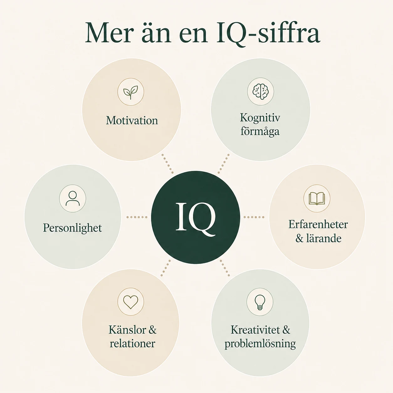Mer än en IQ-siffra – ett IQ-resultat beskriver inte hela människan